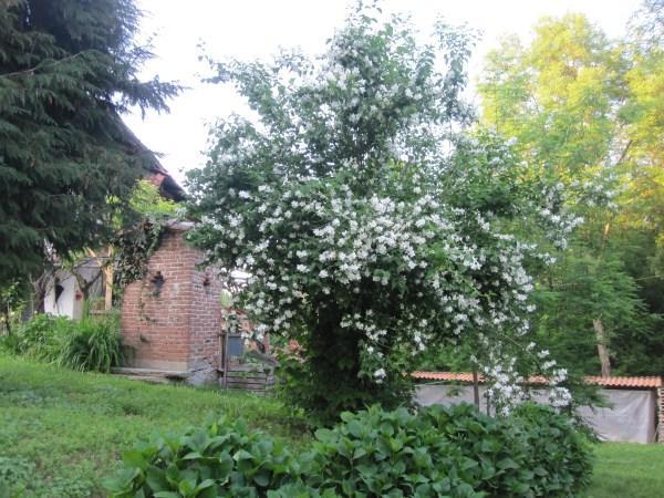 Апартаменти Il Mulino Di Geminella Narzole Екстер'єр фото